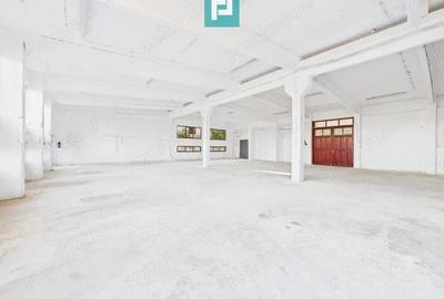 Hala industriala cu multiple destina?ii in Nadlac - 2