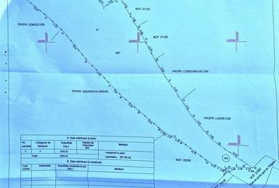 Teren intravilan 3526 mp cu vedere superba catre munte! - 7
