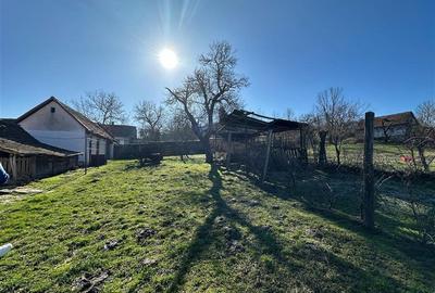 Casă individuală cu 6 camere cu Teren 1727 Mp în Sud-Est - 21