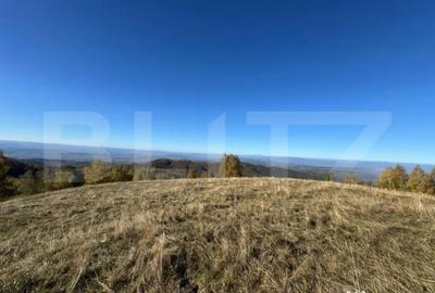 Teren de 54722 mp, în Central - 1