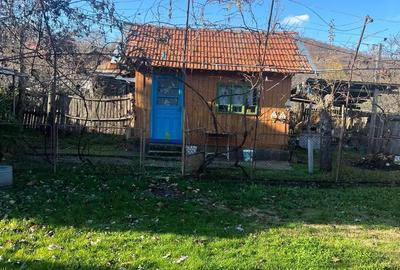 Casă cu 3 camere în Central - 5