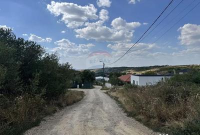 Teren de 6372 mp, în Paleu - 9