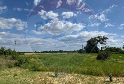 Teren Construcții intravilan de 4000 mp, în Fierbinți-Târg - 2