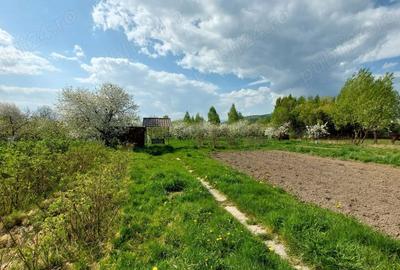 Teren de 5000 mp, în Pietroasa - 4