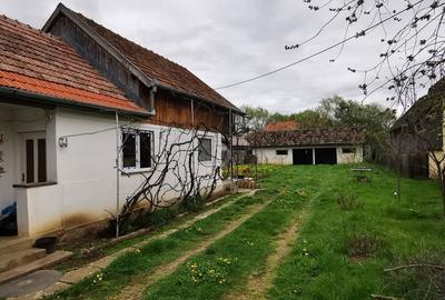 Casă cu 2 camere în Bita - 5