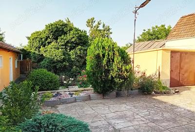 Imobil pe Calea Radnei, potrivit pentru diverse destina?ii St 500 mp - 3