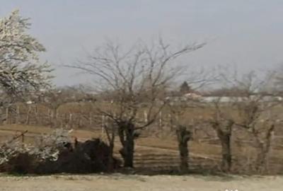 Teren de 2800 mp, în Central - 1