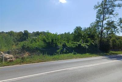 Teren Construcții intravilan de 5615 mp, în Calea Caransebeșului - 19