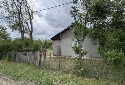 Teren de 2461 mp, în Sârbeni - 10