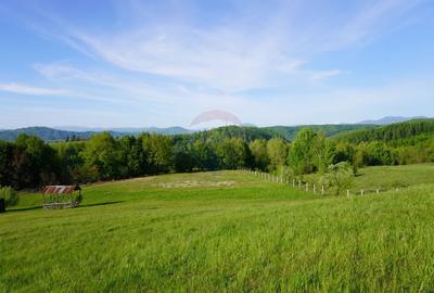 Teren Construcții intravilan de 38592 mp, în Sud-Vest - 10