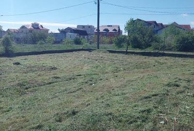 ROANDY - Teren intravila zona Costinesti - 3