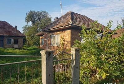 Vand casa, teren agricol si padure in Cheud - 8