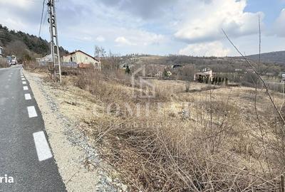 Spațiu comercial, în Feleacu - 17
