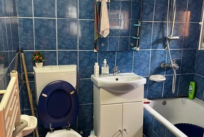 Casa individuala, in cartierul Lazaret cu bucatarie de vara,terasa si acces auto - 13
