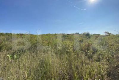 Teren de 3800 mp, în Crișeni - 2