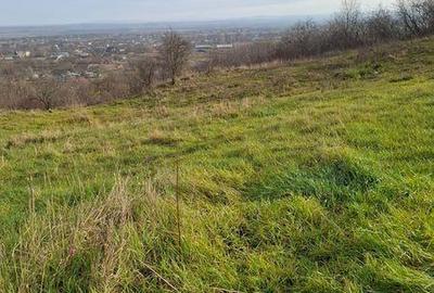 Teren de 3000 mp, în Golăiești - 1