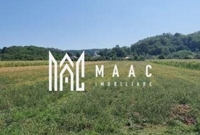 CASA LADESTI-VALCEA| RENOVATA SI MOBILATA| 5000 MP TEREN CASA LADESTI-VALCEA| RENOVATA SI MOBILATA| 5000 MP TEREN - 16