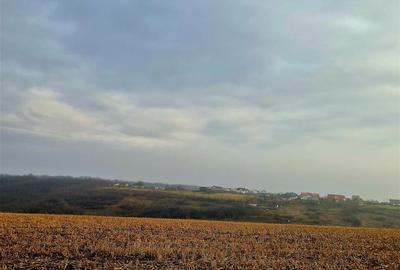 Teren pentru casa cu vedere frumoasa - 1