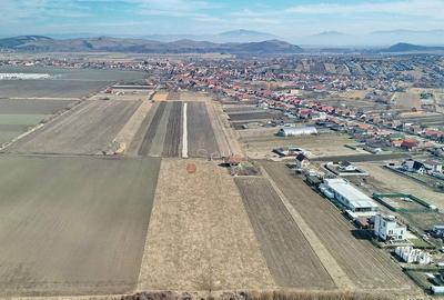 Teren Extravilan, P.U.Z. inceput - 1