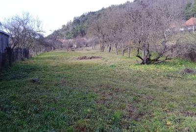 Casă cu 3 camere cu Teren 1500 Mp în Morlaca - 7