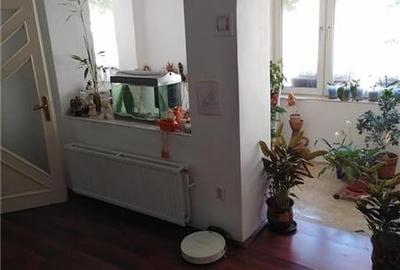 Casa 3 camere, Calnic - 2