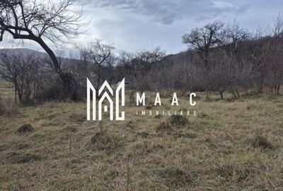Teren de vanzare | Orlat | Extravilan - 3