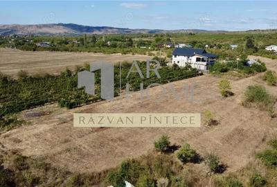 Pensiune 6 camere, teren 12713 mp, Dealul Mare, Urlati, Prahova - 3