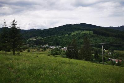 Teren intravilan de 1000 mp, în Văleni-Stânișoara - 5
