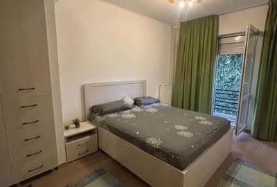 Apartament cu 2 camere decomandat în Ozana - 5