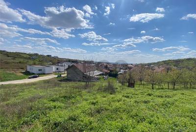 RECO Teren intravilan in Oradea Oncea 986mp - 2