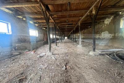 Teren de 3000 mp, în Filiași