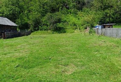 Spațiu comercial, în Valea Siliștii - 2