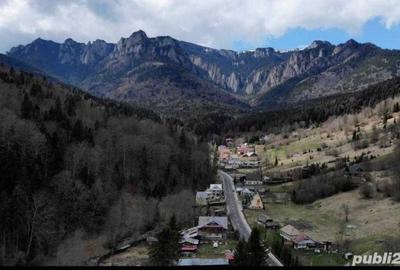 Teren de 10000 mp, în Izvoru - 1