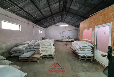Spațiu industrial, de 280 mp, în Câmpina - 6
