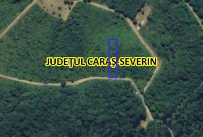 Teren de vanzare la Valiug 1000-3000mp ID 1218 - 4