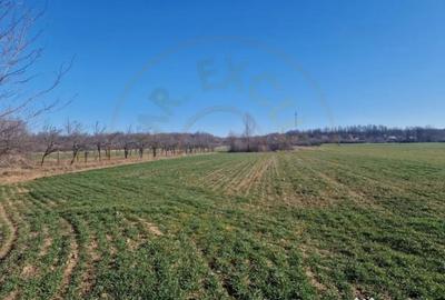 Teren de 1055 mp, în Săpata - 2