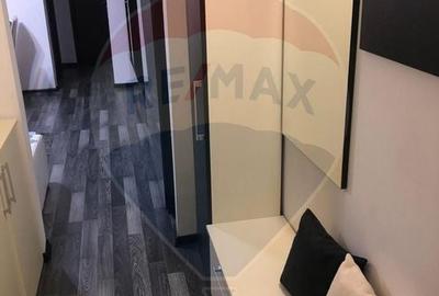 Apartament cu 2 camere semidecomandat, mobilat în Lăpuș - 7