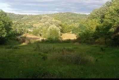 Teren de 3357 mp, în Valea Iașului - 1