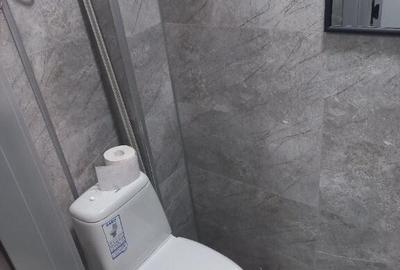 Garsonieră în Colentina - 3