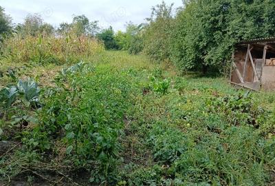 Casă cu 5 camere cu Teren 1000 Mp în Balda - 2