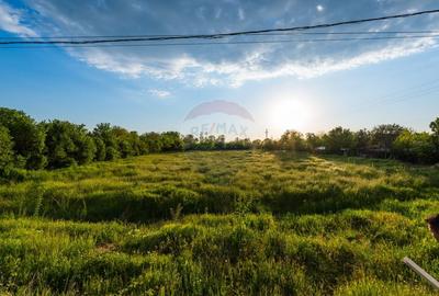 Teren agricol intravilan de 4734 mp, în Ciocești - 1