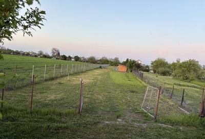 Spațiu comercial, în Ulmi - 3