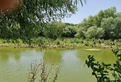 Casă cu 2 camere în Băltenii de Jos - 4