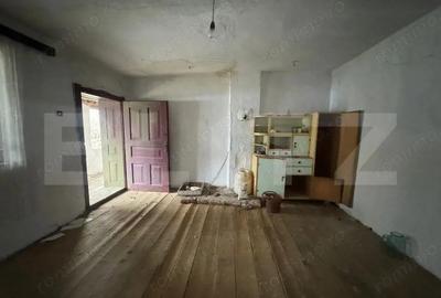 Casa cu 2 camere in Densus, 20 km de Manastirea Prinslop - 10