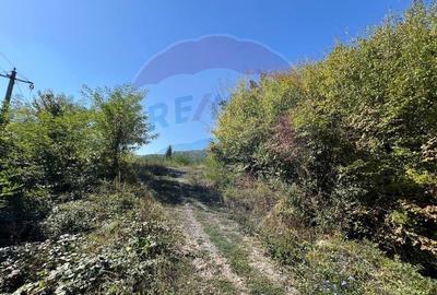 Teren intravilan Buru | ideal agrement, activita?i outdoor - 13