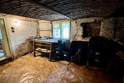 Oază de liniște cu curte în zona Blumana - 20
