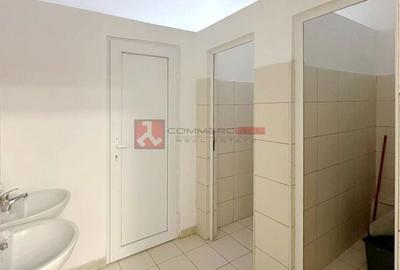 Spațiu comercial, de 540 mp, în Florilor - 12