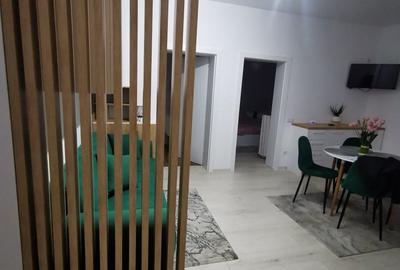Apartament cu 2 camere semidecomandat în Independenței - 3