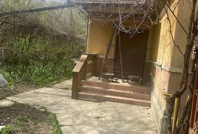 Casă în Viișoara - 5