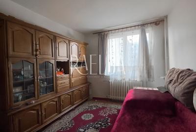 Apartament cu 3 camere semidecomandat în Teiul Doamnei - 19